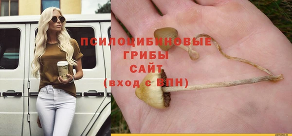 прущие крисы Абаза