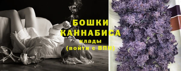 прущие крисы Абаза